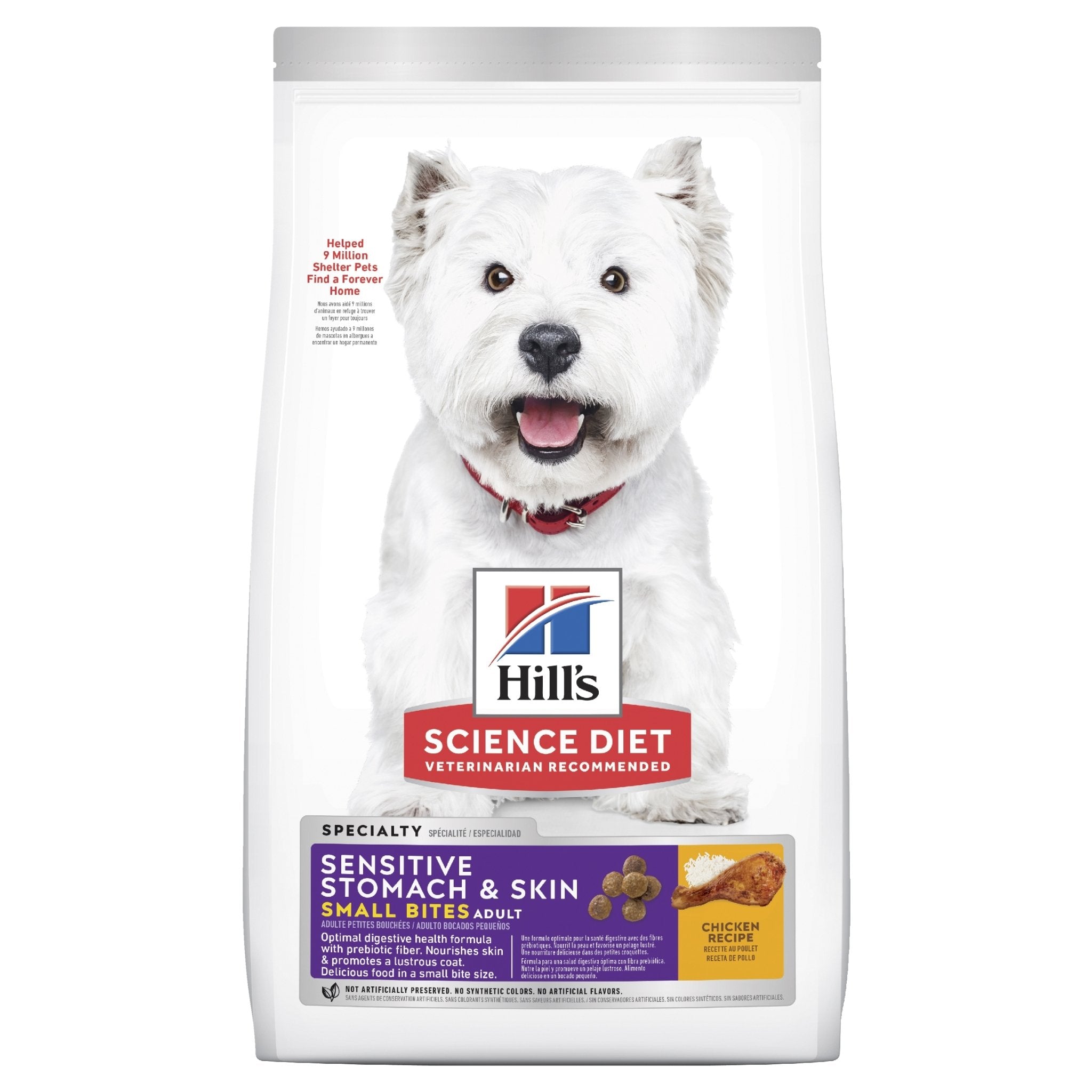 Shop for the newest Pet Supplies Food Accessories Online Just