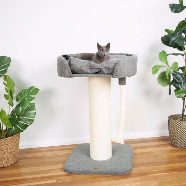 Kazoo discount scratching post