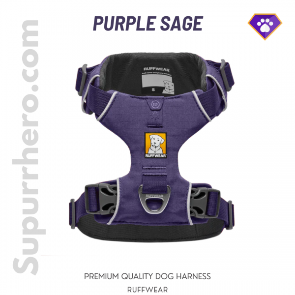 Shop for the newest Pet Supplies Food Accessories Online Just